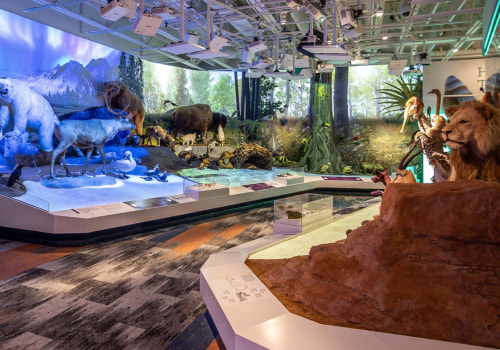 Discovering the Rich Tapestry of Exhibits and Special Events in Northeast Ohio