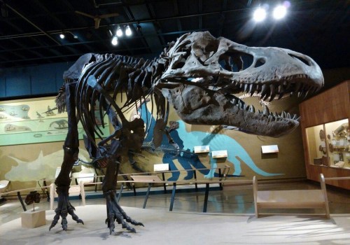 Navigating Ticket Purchases for Multiple Exhibits in Northeast Ohio