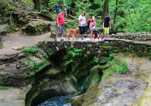 A Comprehensive Guide to the Longest Running Exhibit in Northeast Ohio